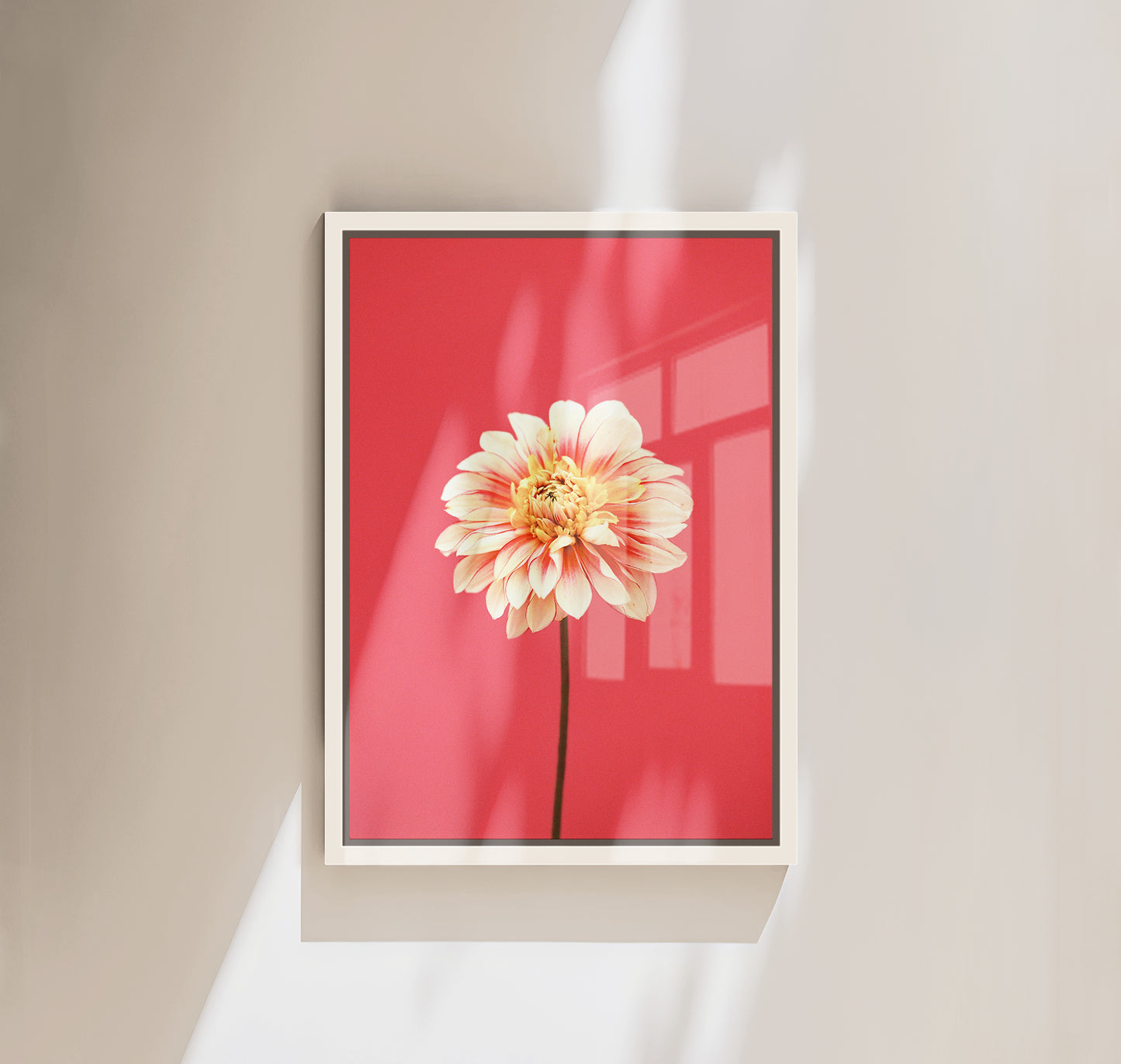 Flora