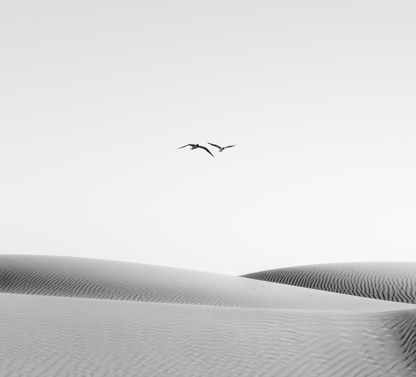 Motions In Sand