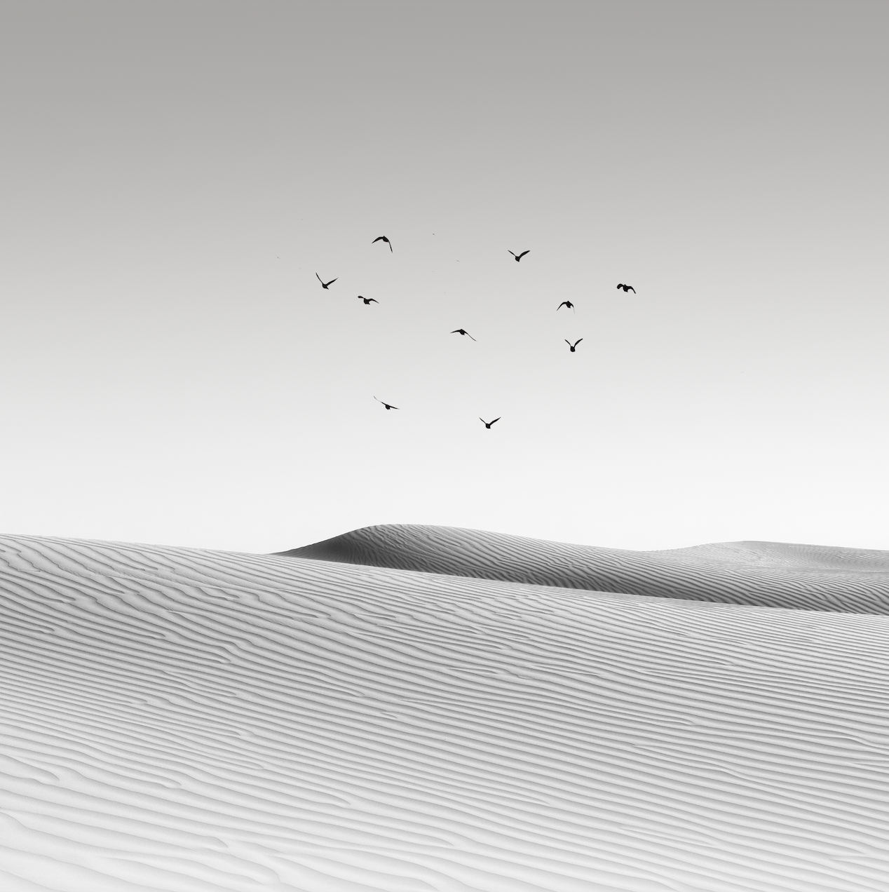 Sand Blasted