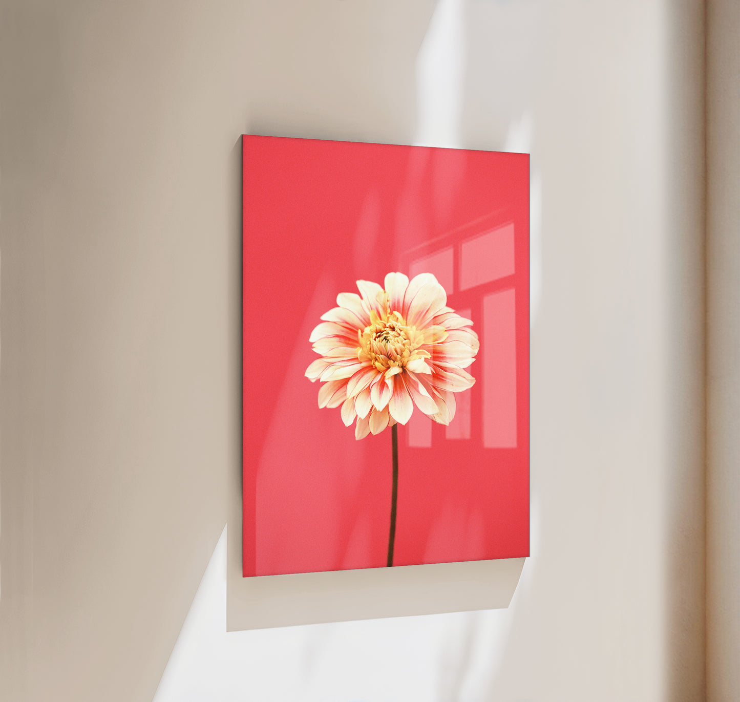 Flora