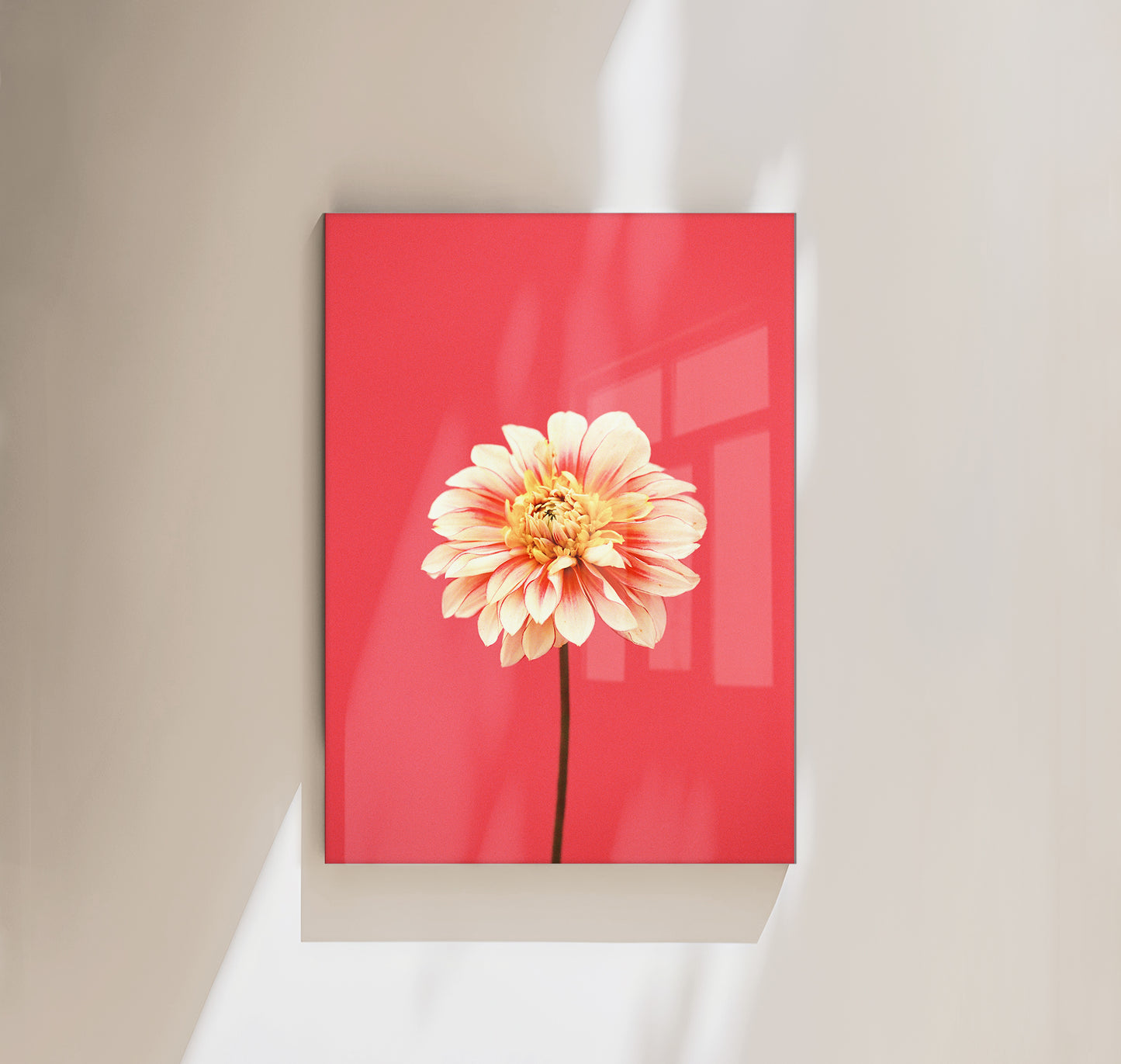 Flora