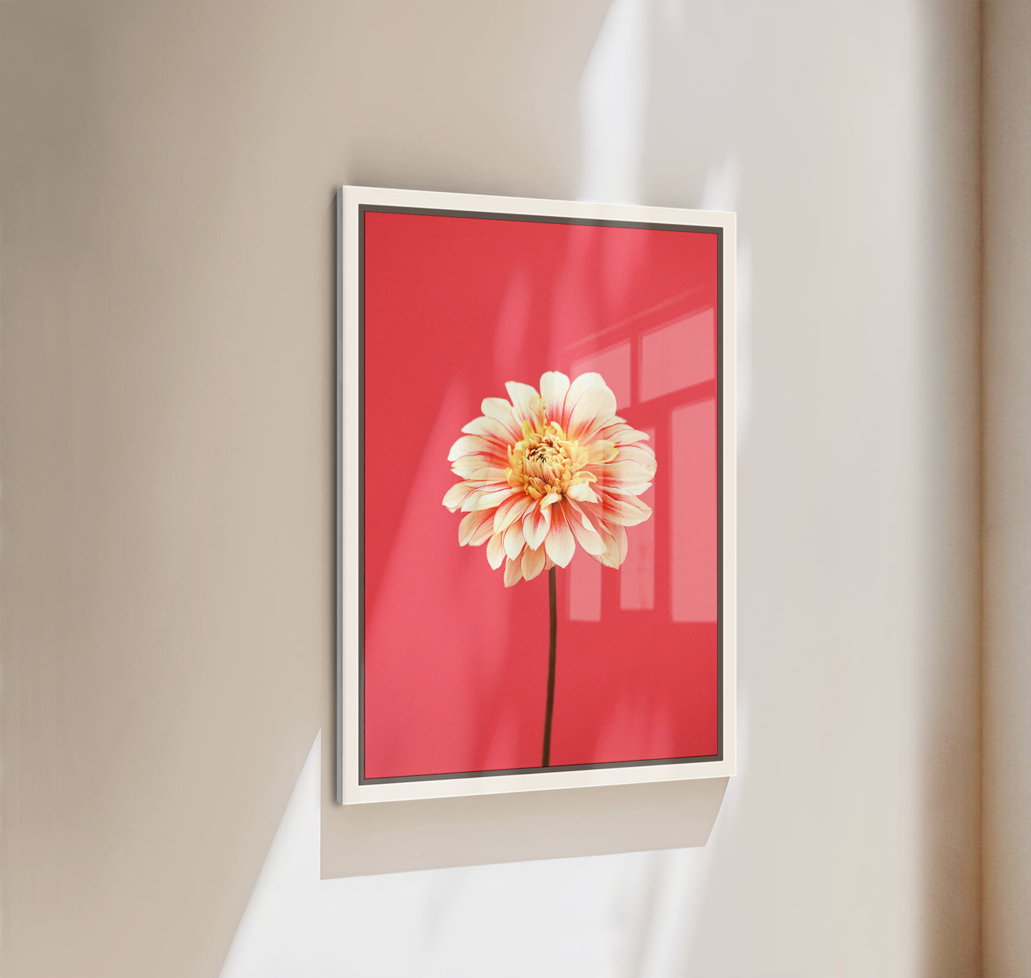 Flora
