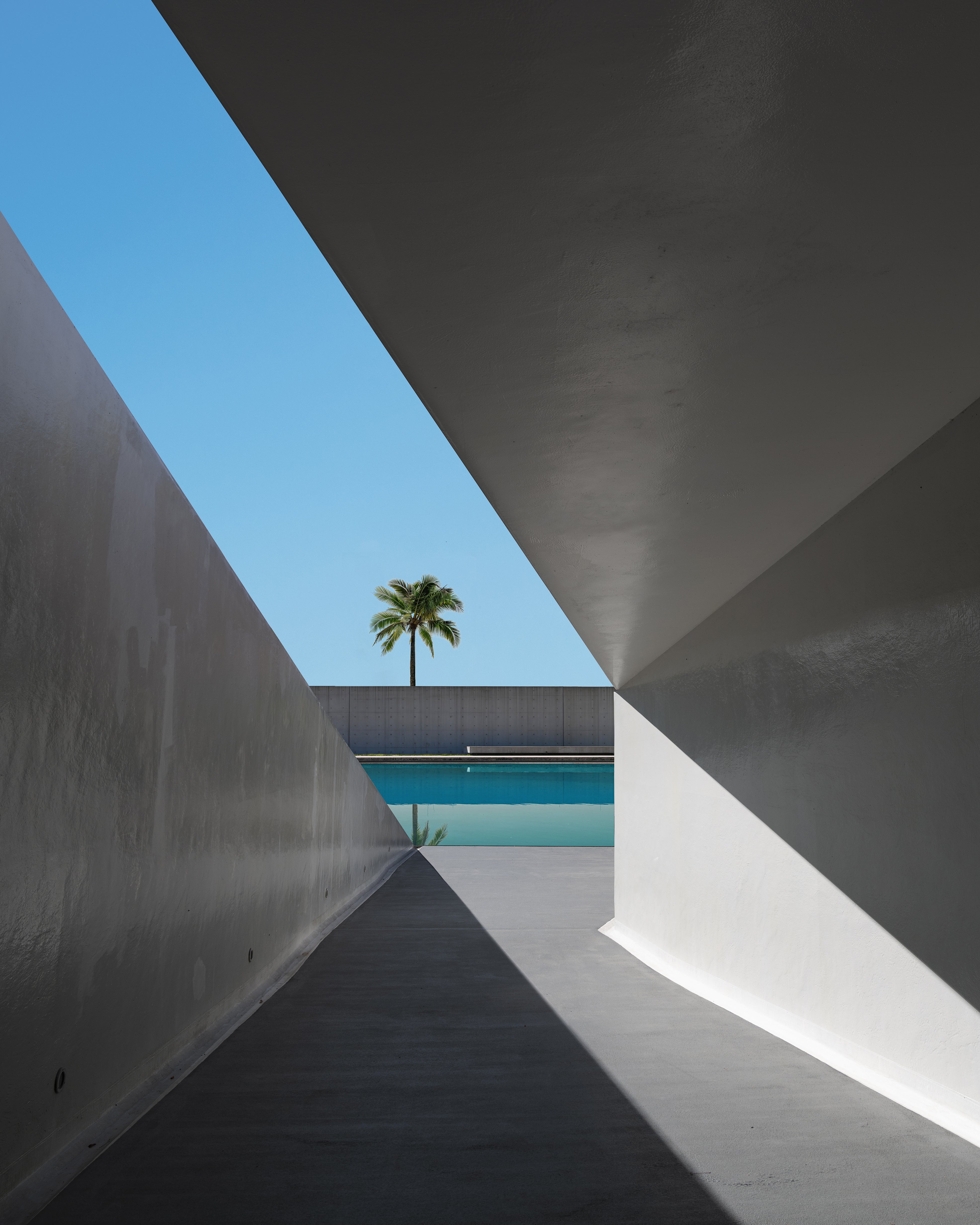 Limited Edition – Nowa Studio